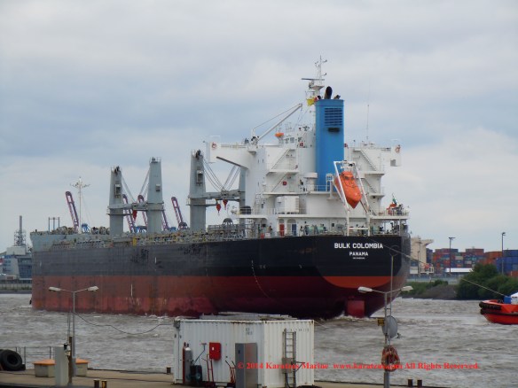 MV BULK COLOMBIA 11
