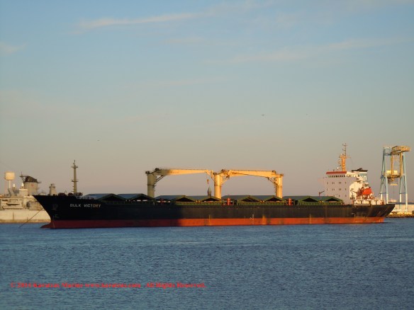 MV BULK VICTORY 9
