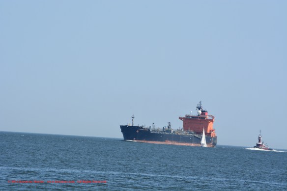 MT TORM REPUBLICAN 1