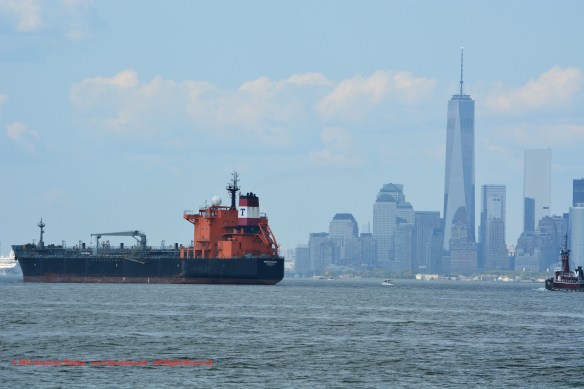 MT TORM REPUBLICAN 11