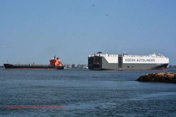 MT TORM REPUBLICAN 2