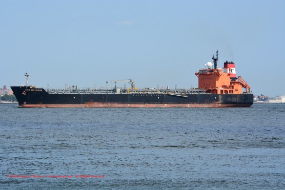 MT TORM REPUBLICAN 3