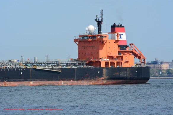 MT TORM REPUBLICAN 5