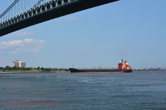 MT TORM REPUBLICAN 6