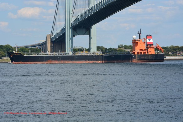 MT TORM REPUBLICAN 7