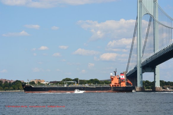 MT TORM REPUBLICAN 8