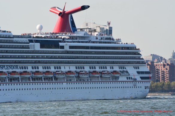 MV CARNIVAL SPLENDOR C 5