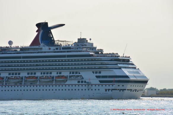 MV CARNIVAL SPLENDOR C 8
