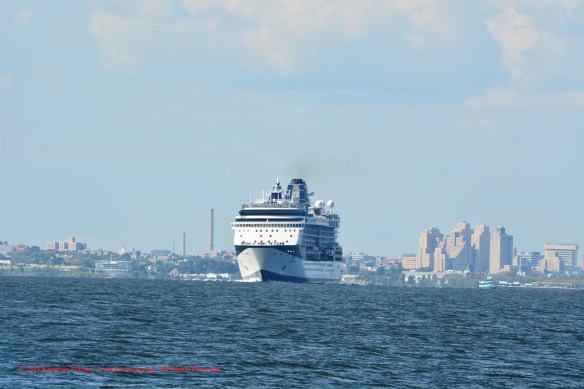 MV CELEBRITY SUMMIT 1