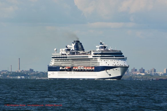 MV CELEBRITY SUMMIT 2