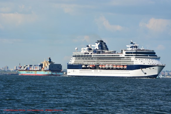 MV CELEBRITY SUMMIT 3