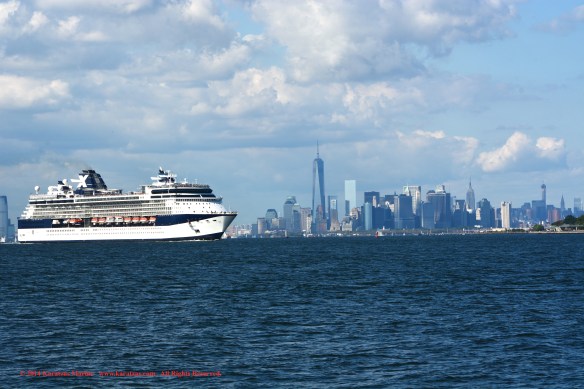 MV CELEBRITY SUMMIT 4