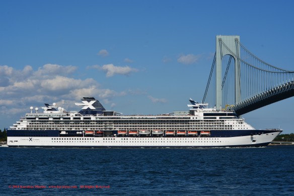 MV CELEBRITY SUMMIT 7