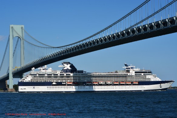 MV CELEBRITY SUMMIT 8