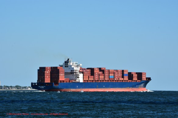 MV DOLPHIN II 12