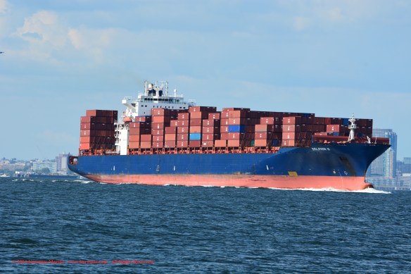 MV DOLPHIN II 2