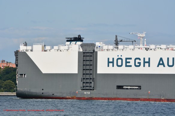 MV HOEGH ANTWERP 5