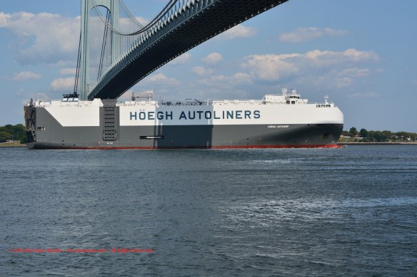 MV HOEGH ANTWERP 7
