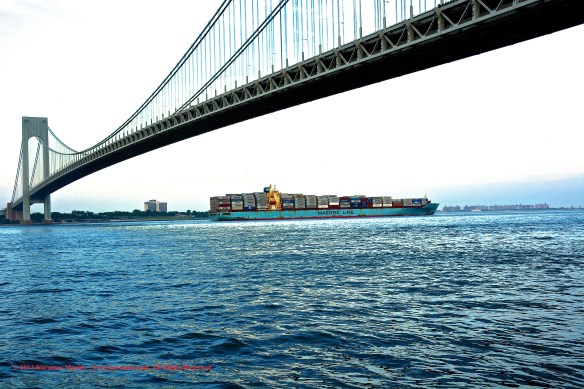 MV MAERSK MONTANA 12