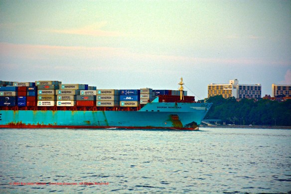 MV MAERSK MONTANA 4