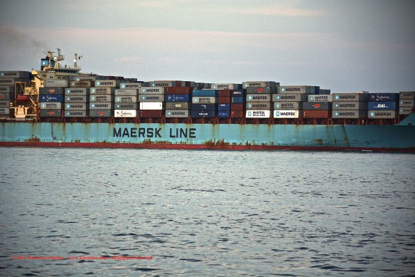 MV MAERSK MONTANA 5
