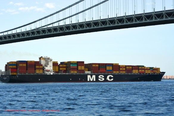 MV MSC MARIA ELENA 10