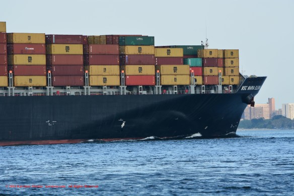 MV MSC MARIA ELENA 11