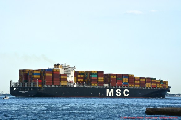 MV MSC MARIA ELENA 12