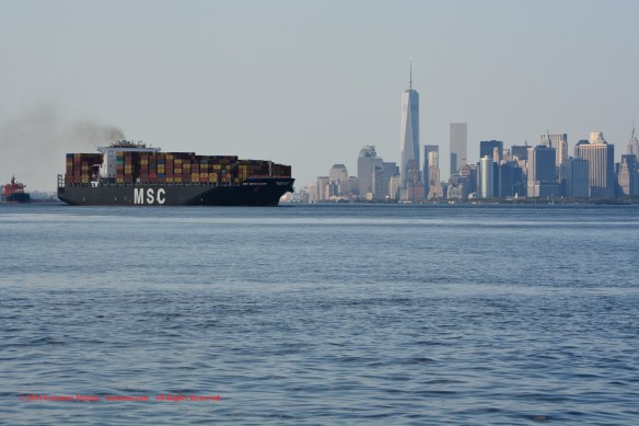 MV MSC MARIA ELENA 4