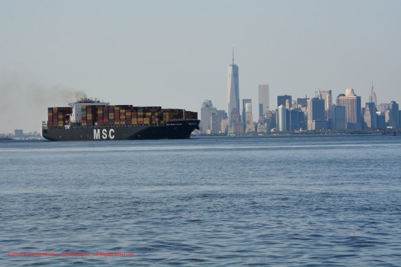 MV MSC MARIA ELENA 5