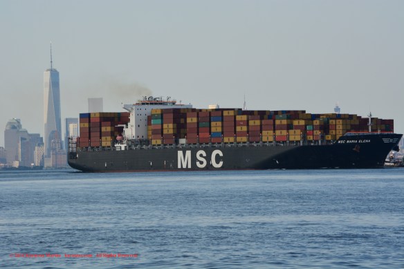 MV MSC MARIA ELENA 6