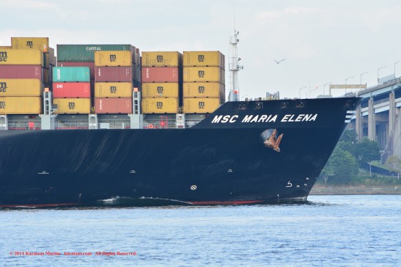 MV MSC MARIA ELENA 7