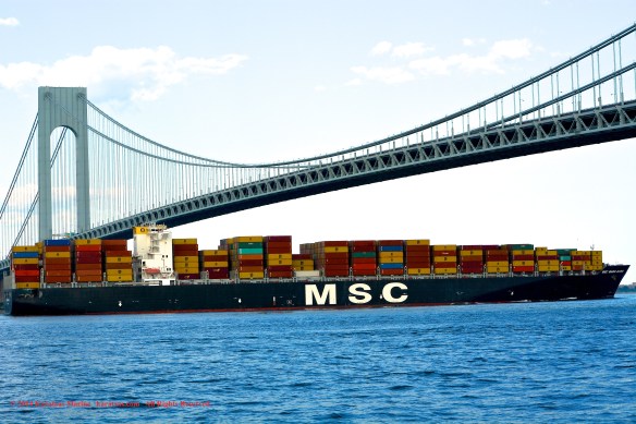 MV MSC MARIA ELENA 9