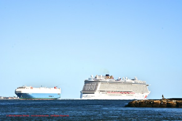 MV NORWEGIAN BREAKAWAY 12 w: ORCHARD ACE