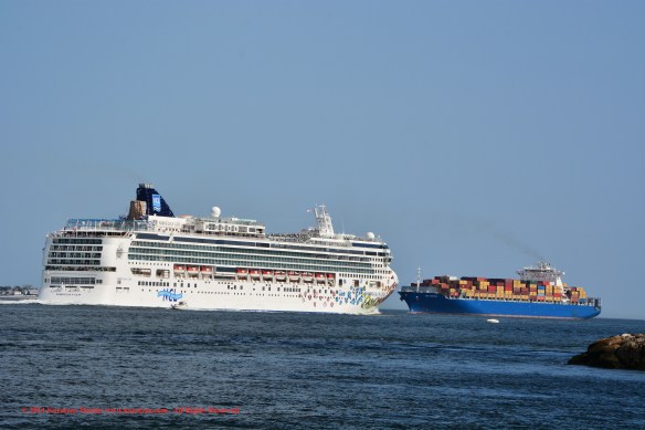 MV NORWEGIAN GEM 11