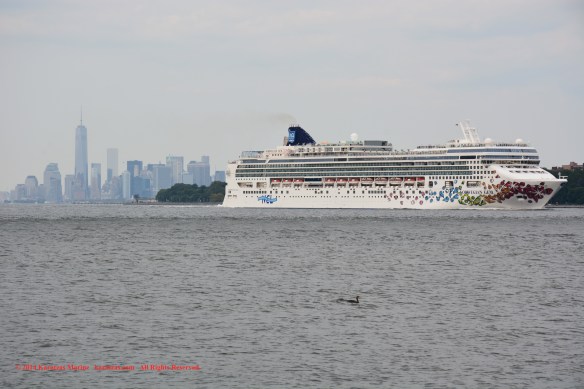MV NORWEGIAN GEM_B 4