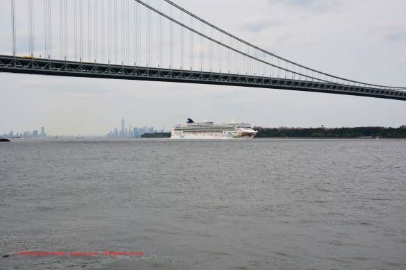 MV NORWEGIAN GEM_B 5