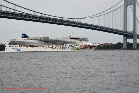 MV NORWEGIAN GEM_B 7