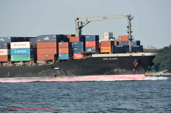 MV NYK CLARA 5