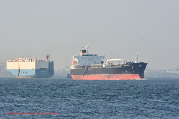 MT HIGH MARS 1 w HARMONY ACE