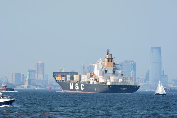 MV MSC MARTINA 13 w STATUE OF LIBERTY
