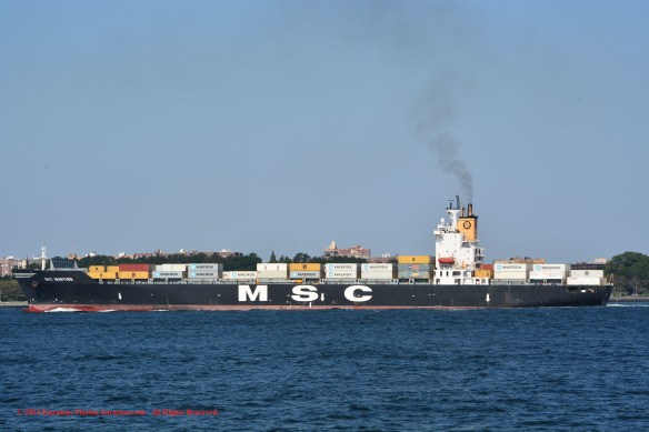 MV MSC MARTINA 8