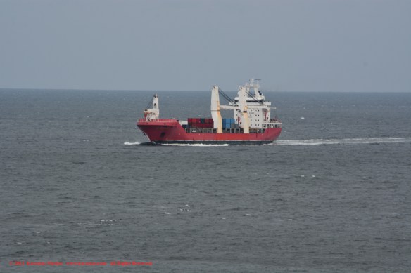 MV OCEAN GIANT 1