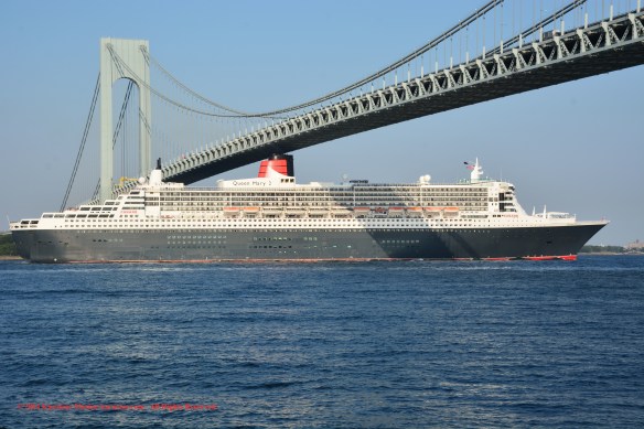 MV QUEEN MARY 2_9