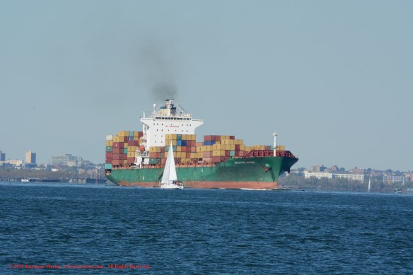 MV SINAGPORE BRIDGE 1