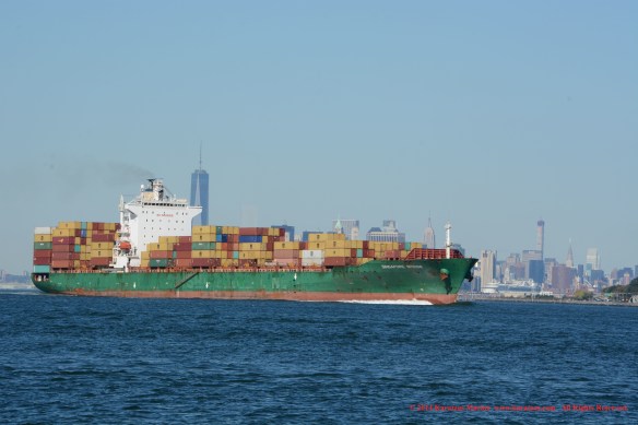 MV SINAGPORE BRIDGE 5