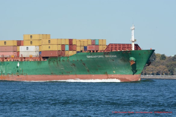 MV SINAGPORE BRIDGE 6