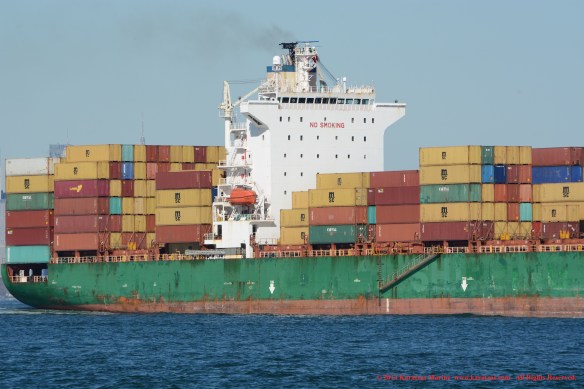 MV SINAGPORE BRIDGE 7