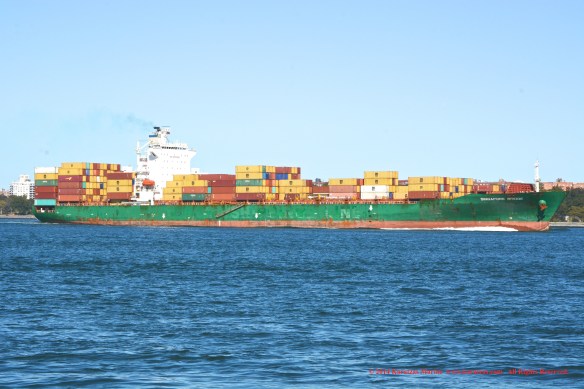 MV SINAGPORE BRIDGE 8