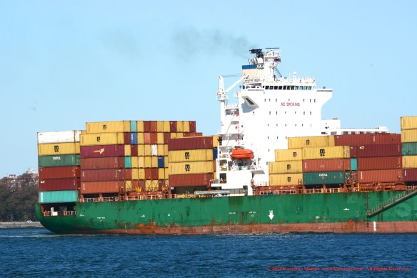 MV SINAGPORE BRIDGE 9